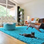 Modern area rugs for the living room