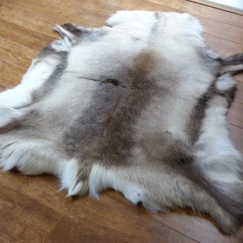 A large animal skin rugs at wooden floor