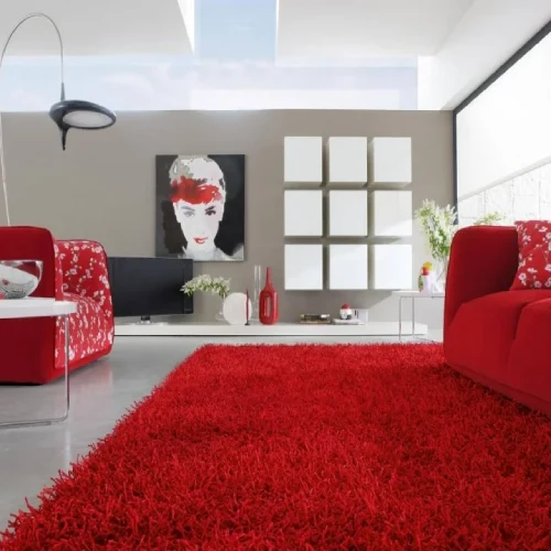 A modern living room with a red shaggy rug, a red sofa, and a gray wall