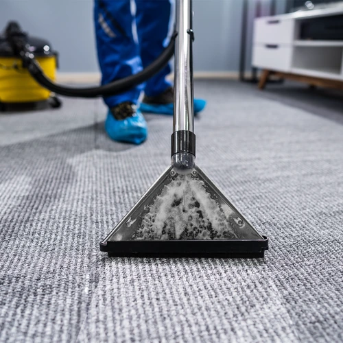 Where to Buy and How to Care For Sisal Carpets